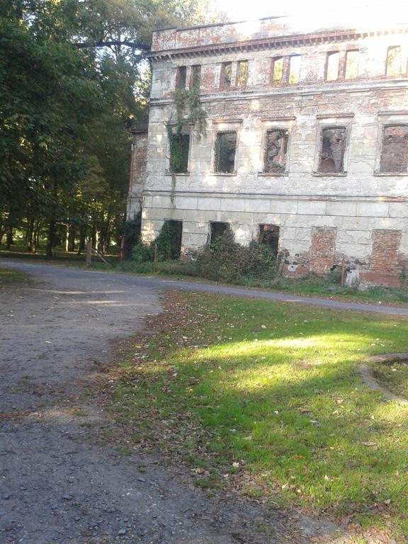 Gosciniec Sloneczny Hotel Drzonków Екстериор снимка