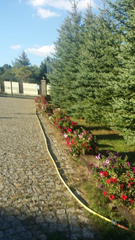 Gosciniec Sloneczny Hotel Drzonków Екстериор снимка